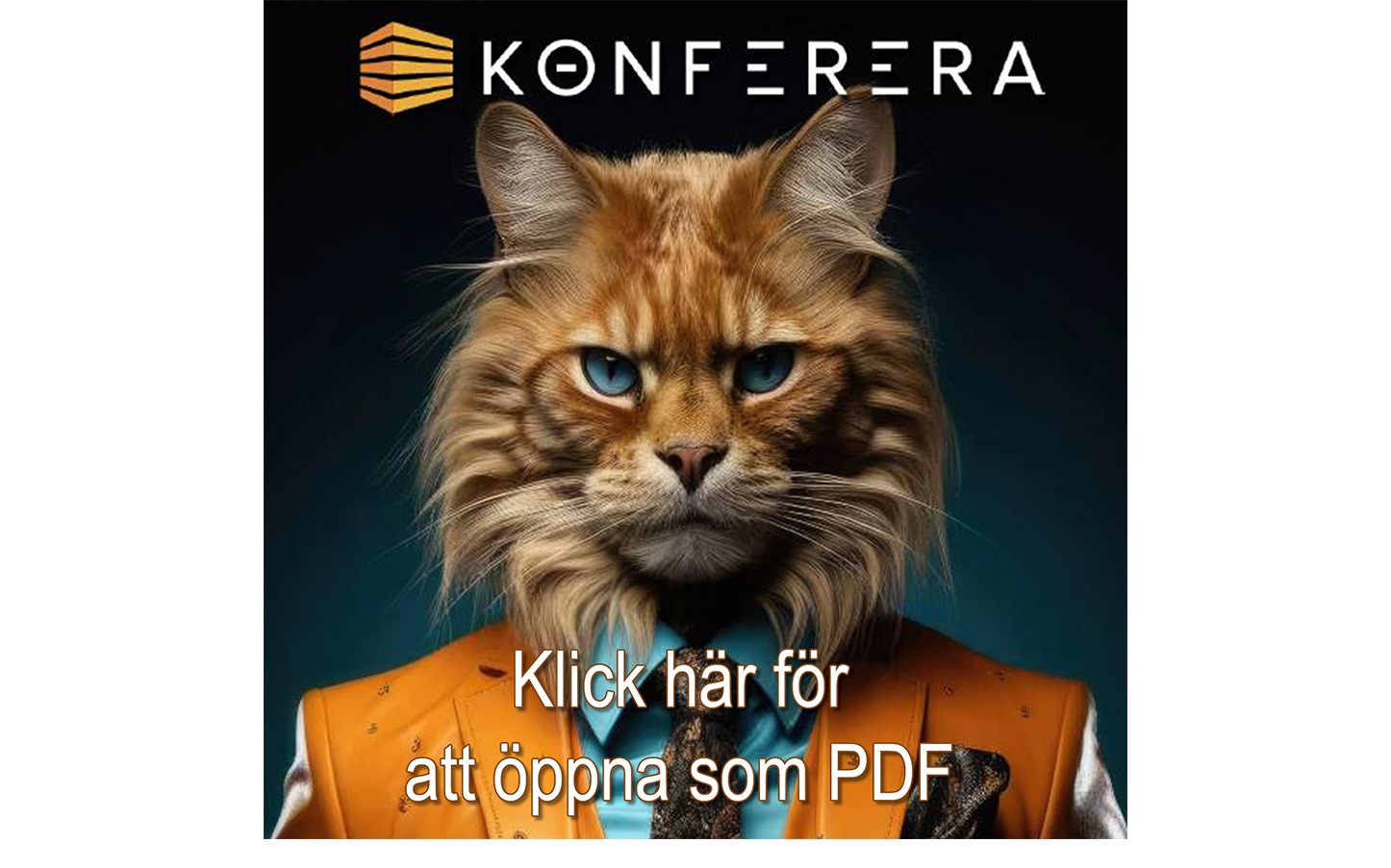Konferensbroschyr